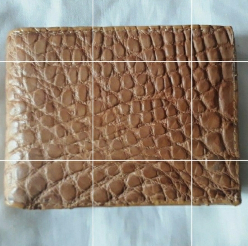 Alligator Wallet